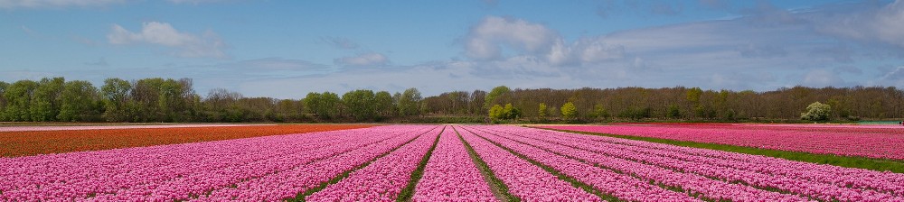 Quiétude intérieure et efficacité