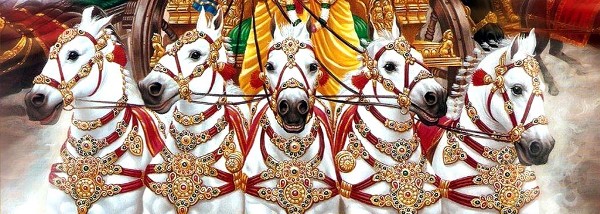 krishna coach 05